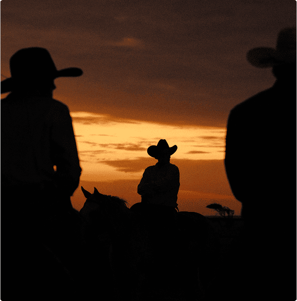 experience-img.png?width=1445&height=1470&name=experience-img